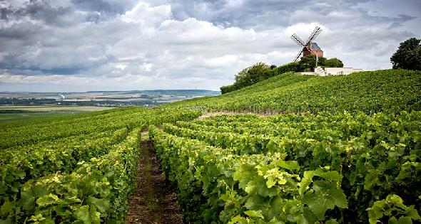 Explore Paris Off The Beaten Path