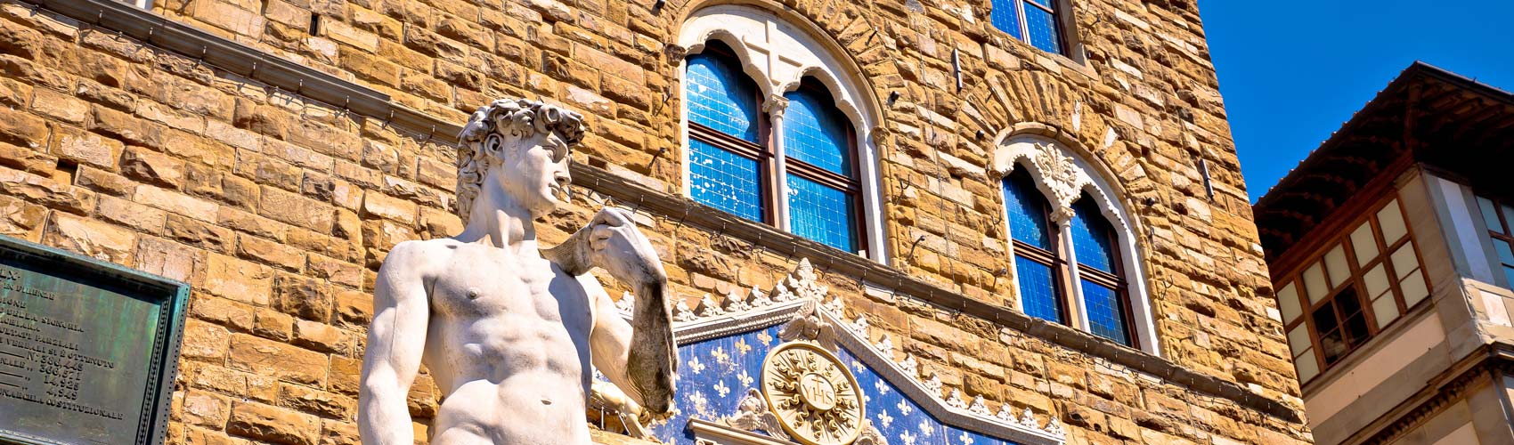 Estatua de David Face