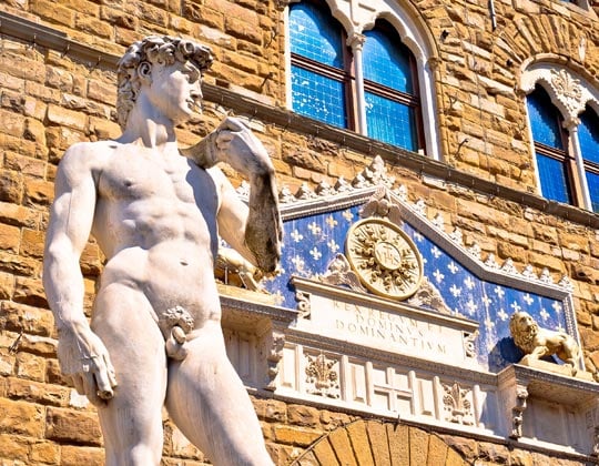 Estatua de David Face