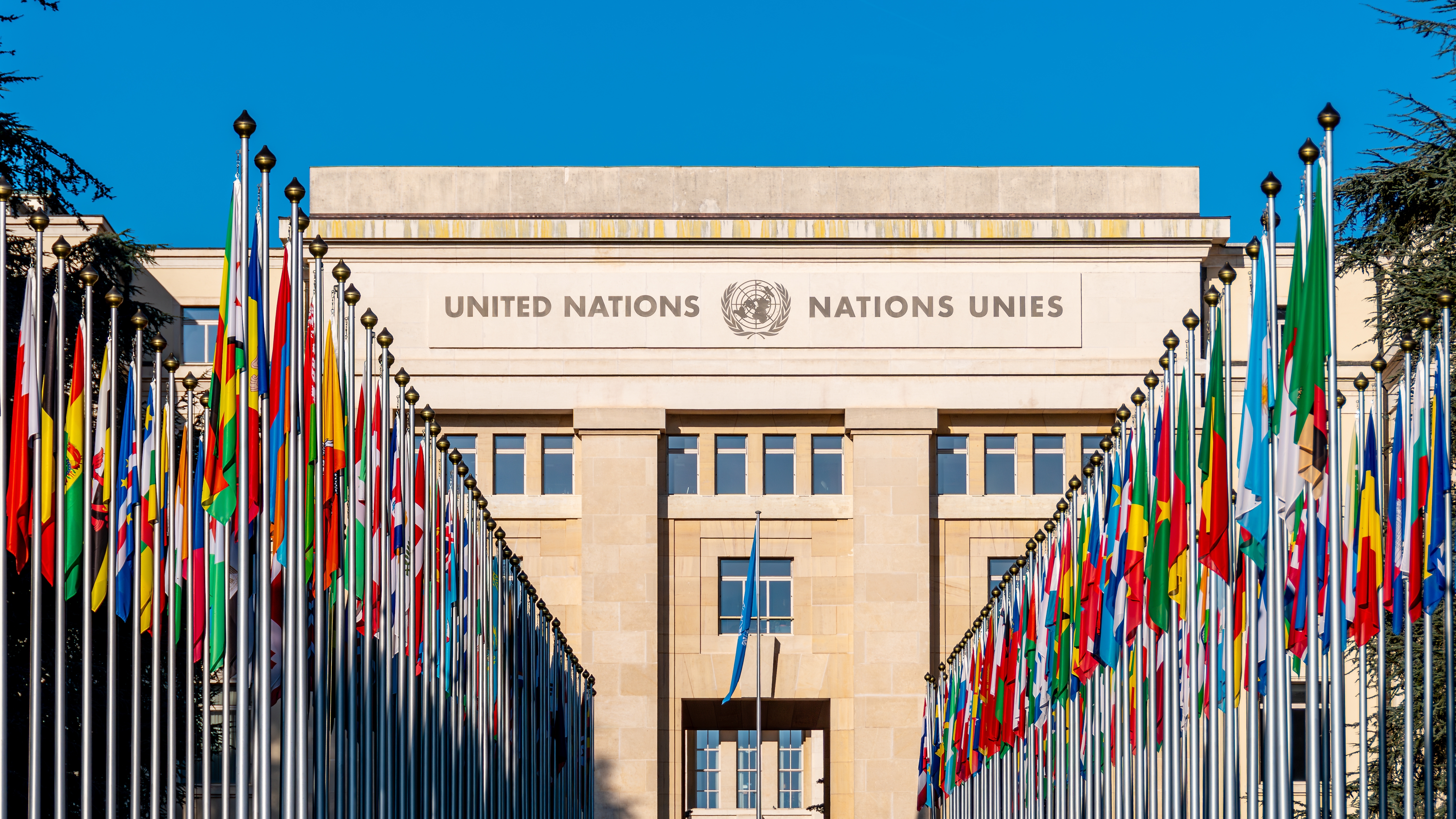 International Organisations