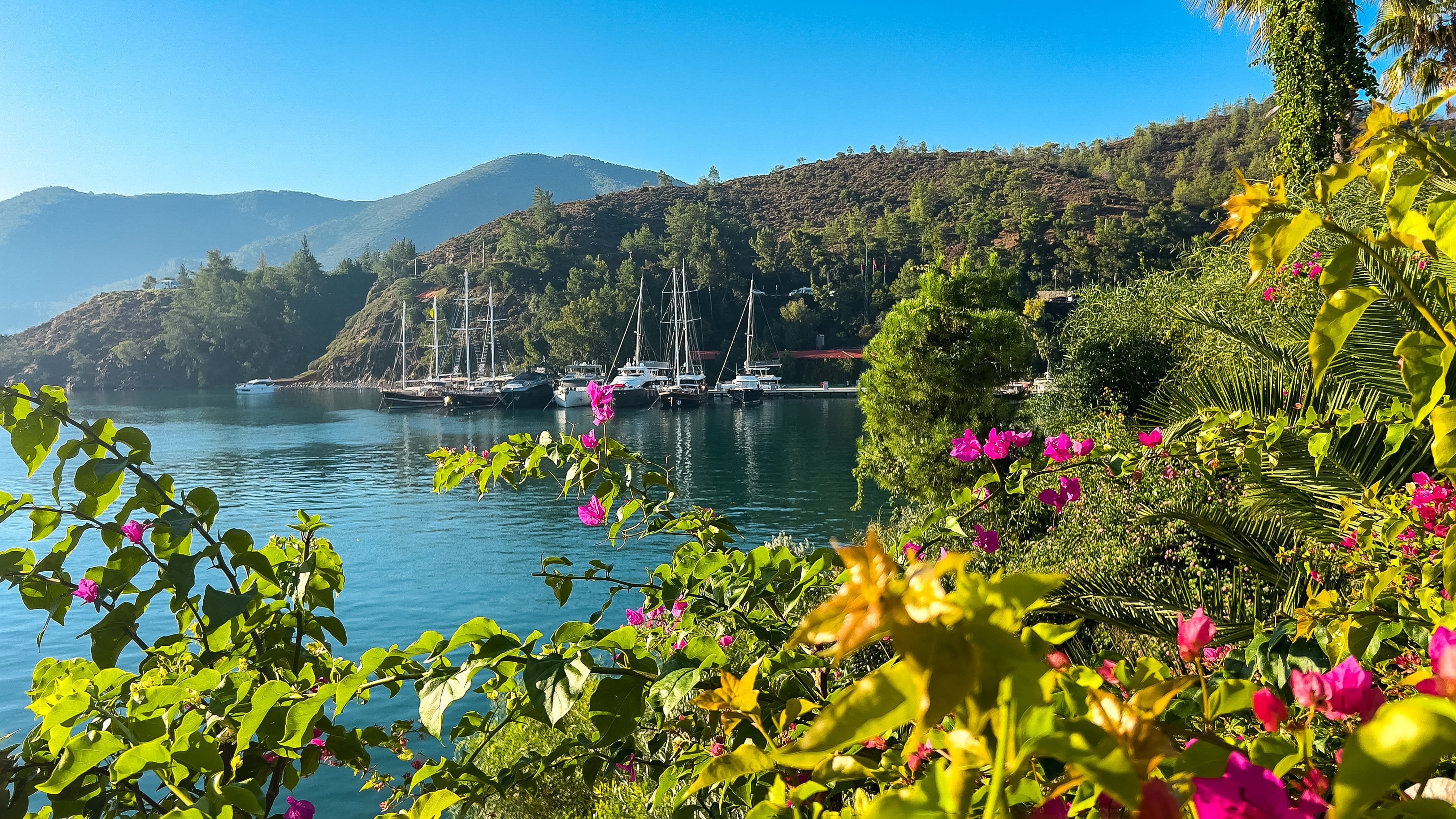  View of pretty cove surrounded by flowers in Kalyan