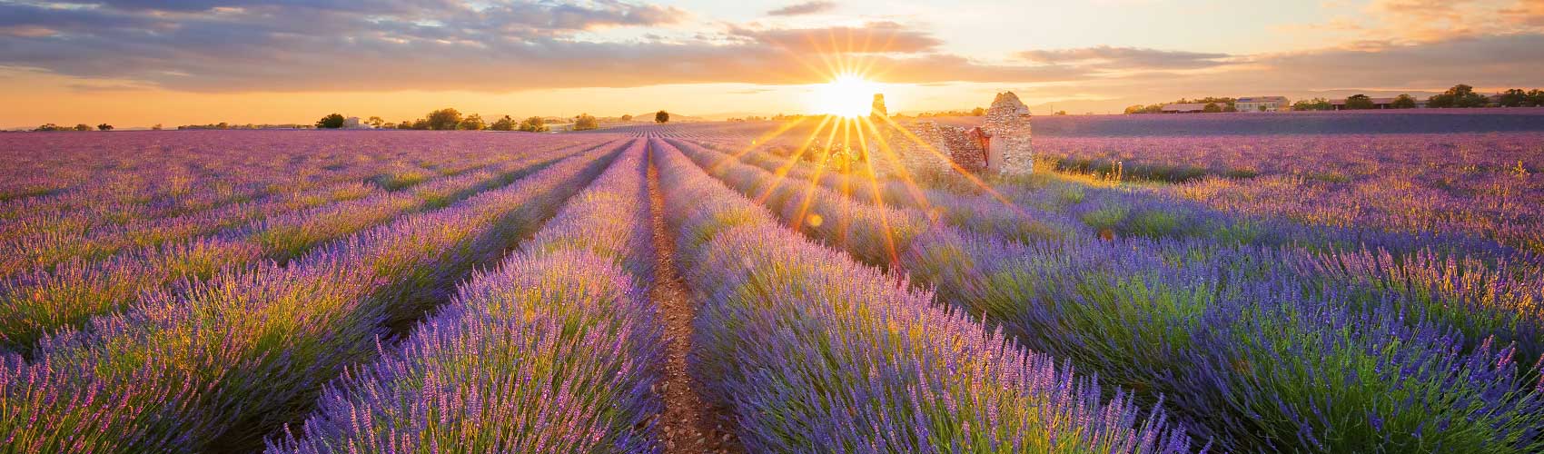 Cosas que hacer en Provence-Alpes-Côte d'Azur