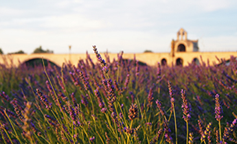 Qué hacer en Marsella Levander Tour