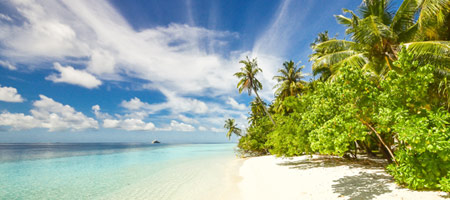 Explore Los Angeles Beaches