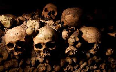 Paris Catacombs Tour skull