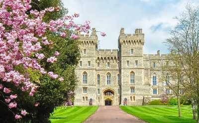 Windsor Castle flowers spring