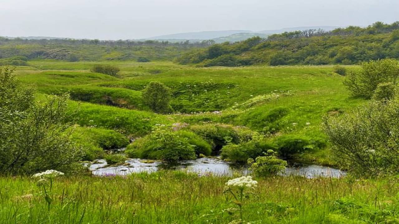 Golden Circle & Secret Lagoon Small Group Tour 