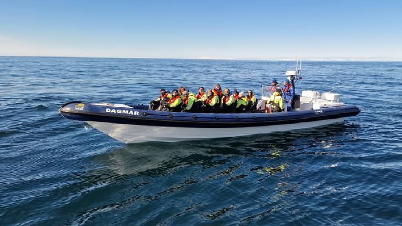 Puffin Express by RIB Speedboat