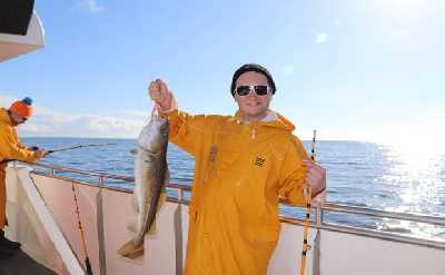 Whales & Sea Angling