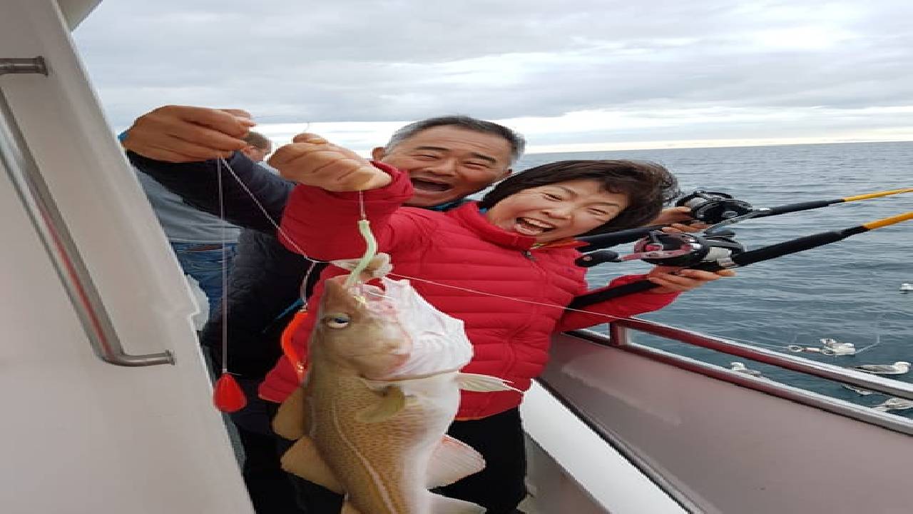 Whales & Sea Angling