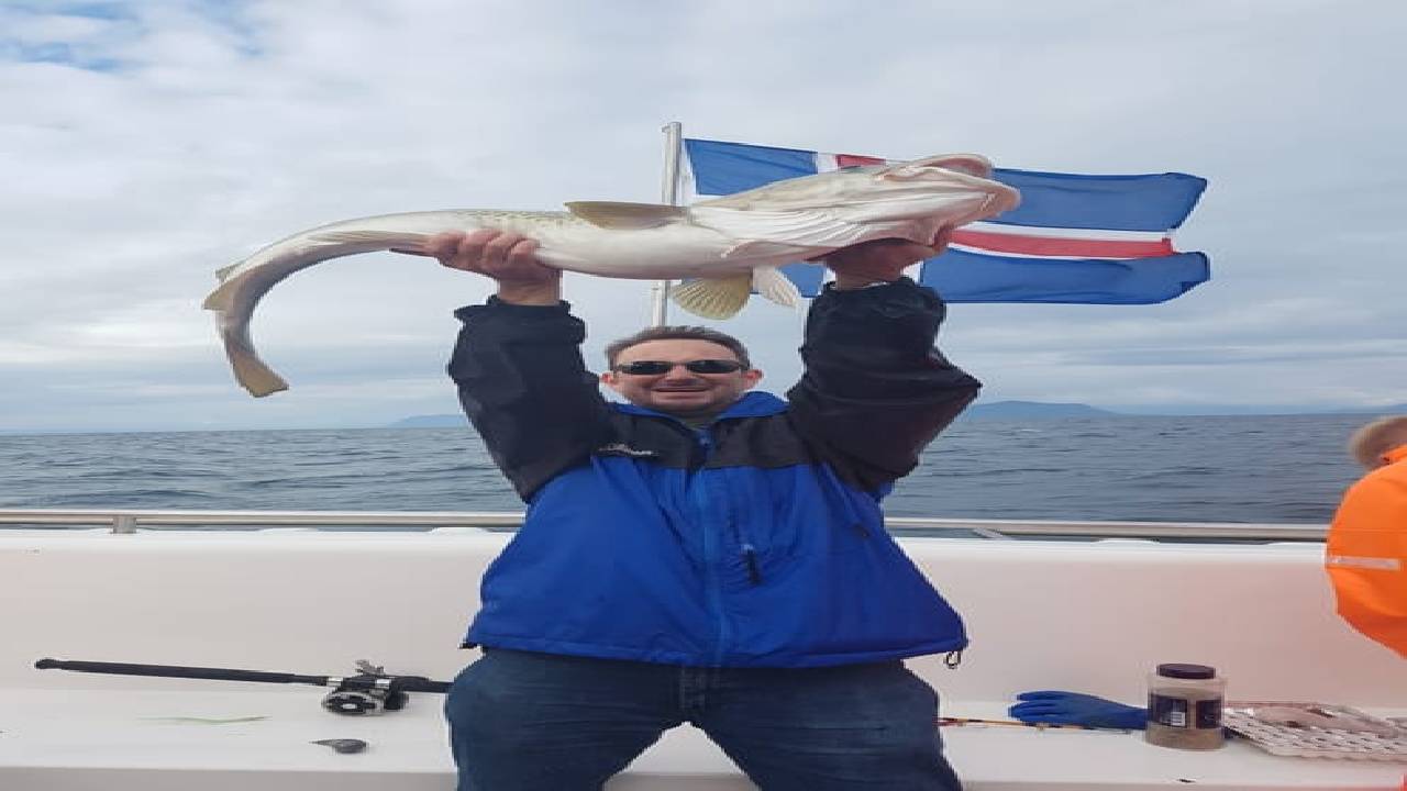 Whales & Sea Angling