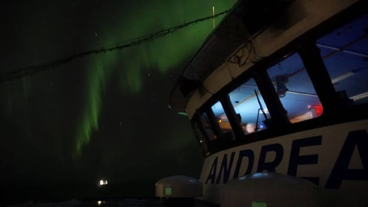 Northern Lights by Boat