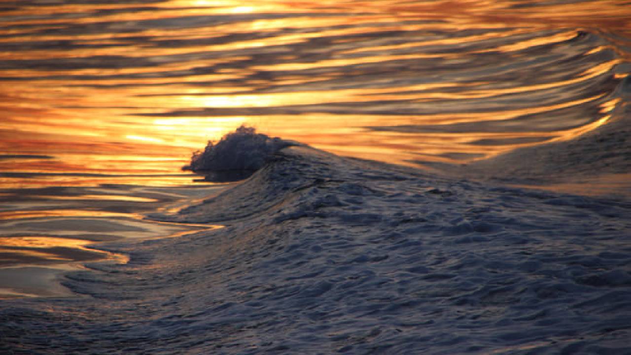Reykjavík Premium Whales in the Midnight Sun