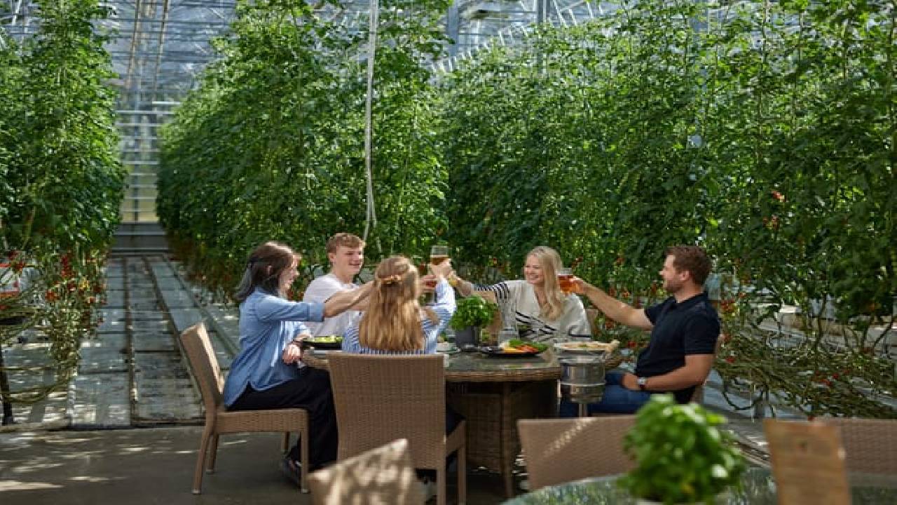 Golden Circle, Secret Lagoon & Friðheimar Tomato Farm (Small Group)