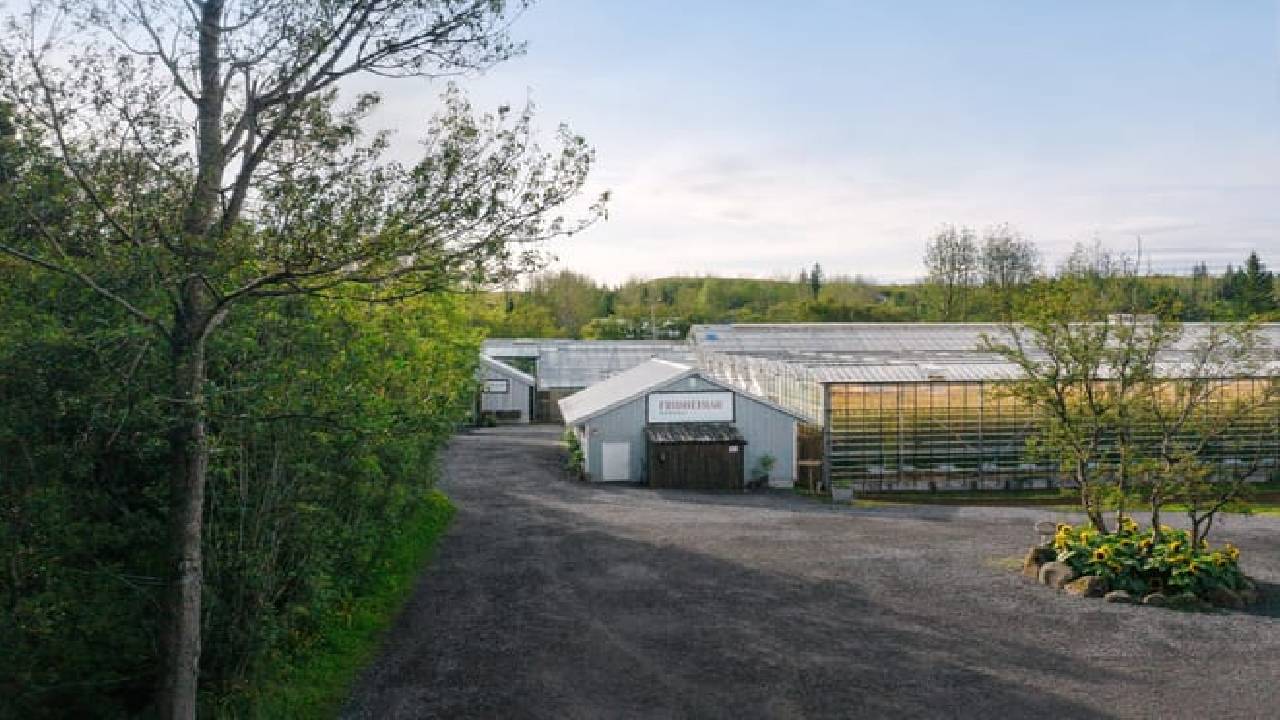 Golden Circle, Secret Lagoon & Friðheimar Tomato Farm (Small Group)