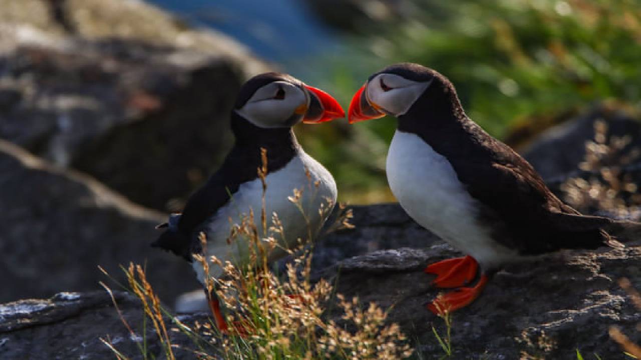 Iceland Your Way – Fully Customizable Experience