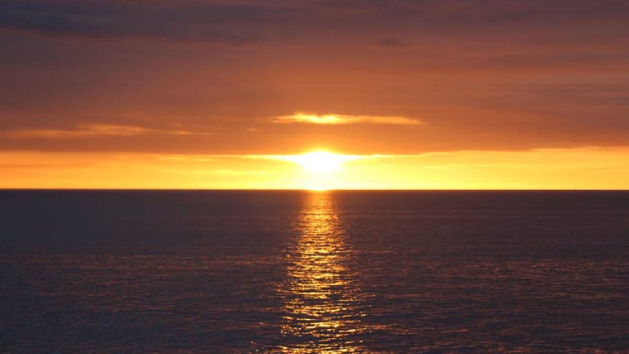 Reykjavík Classic Whales in the Midnight Sun