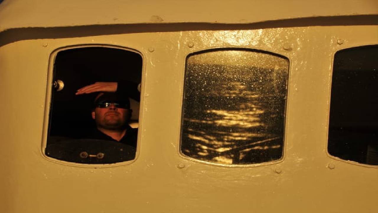 Reykjavík Classic Whales in the Midnight Sun