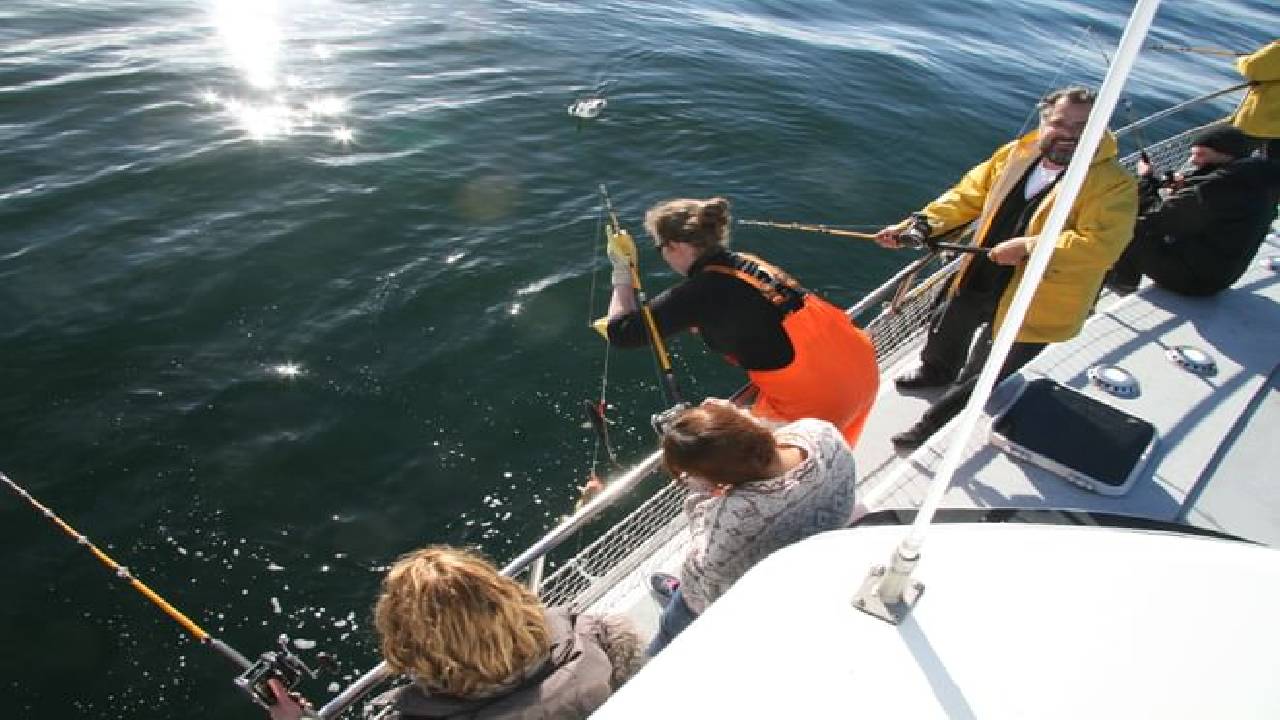 Reykjavík Sea Angling Gourmet