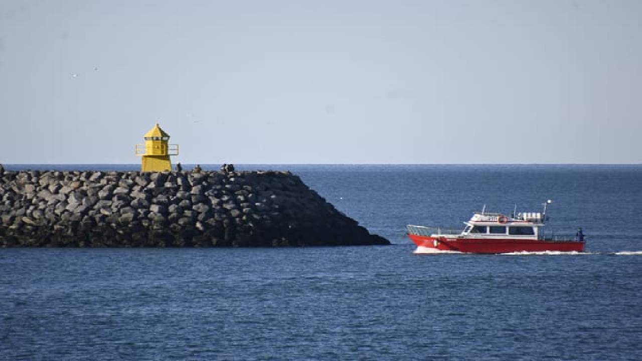 Viðey Ferry - from Skarfabakki