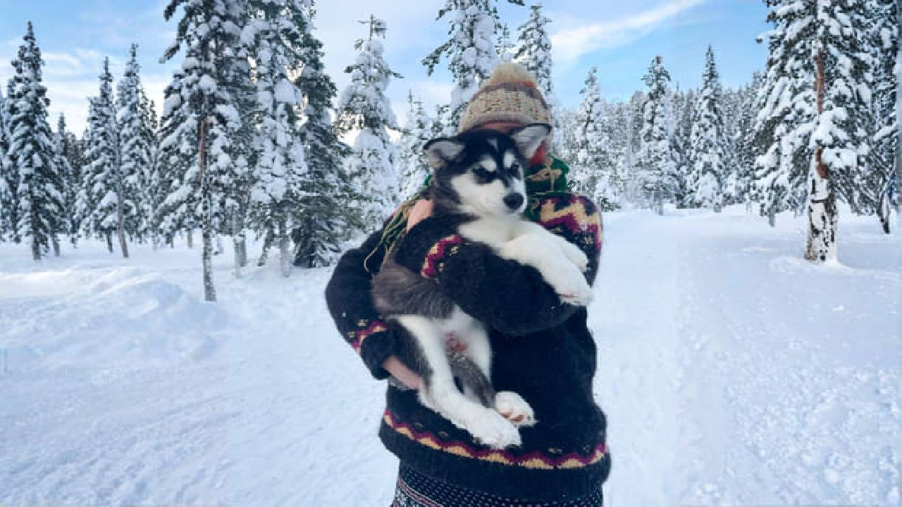 Husky Safari Winter Tour & Barbeque - 6-10 km Self-Driving Mushing - Small Group