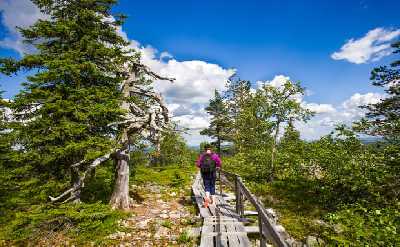 Korouoma Canyon Hike Tour & Barbeque - Small Group