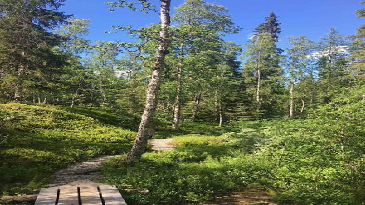 Korouoma Canyon Hike Tour & Barbeque - Small Group