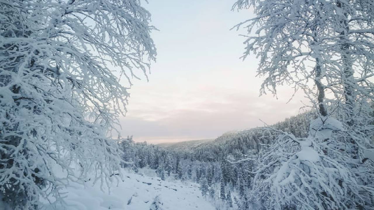 Korouoma Frozen Waterfalls Hike Tour & Barbeque - Small Group