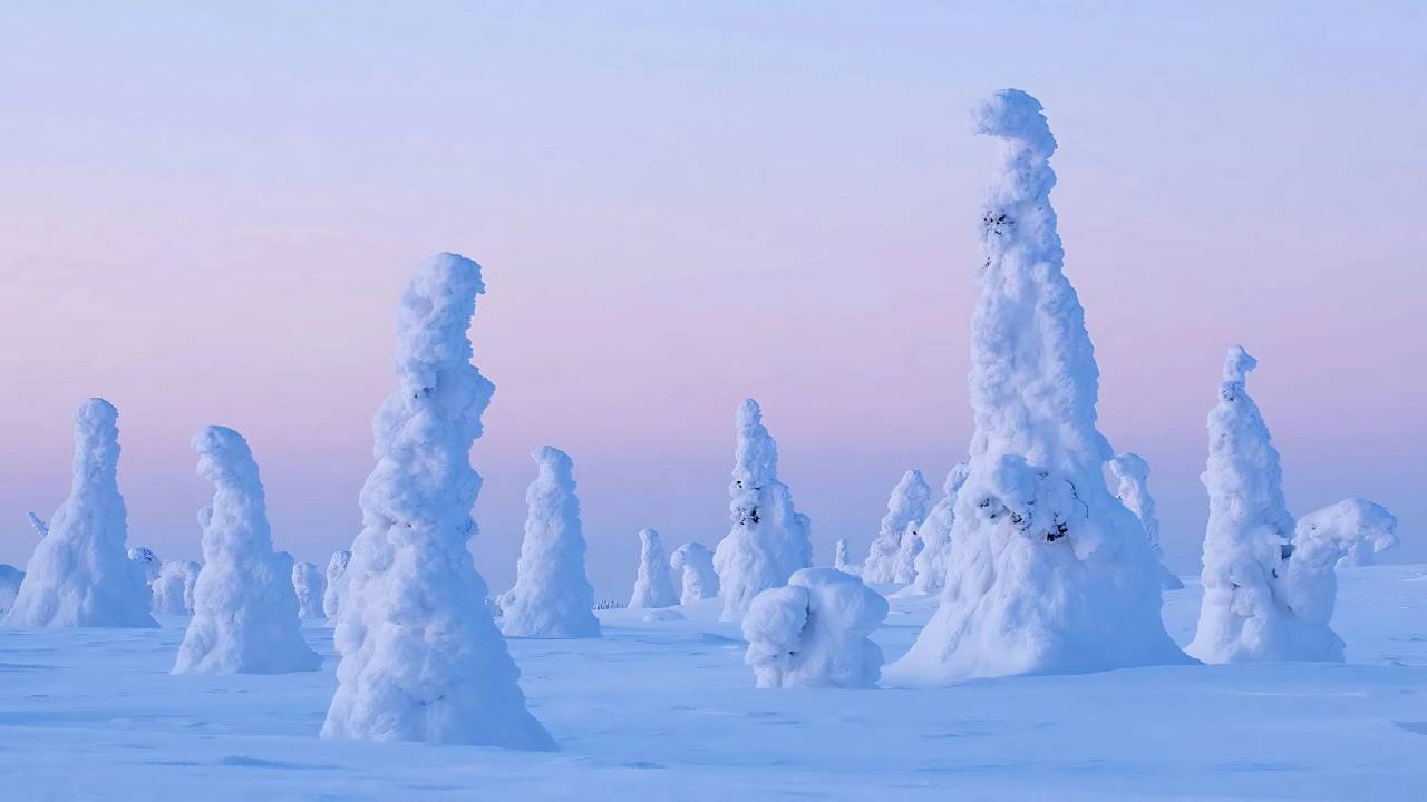 Riisitunturi Wilderness Expedition & Barbeque - Small Group