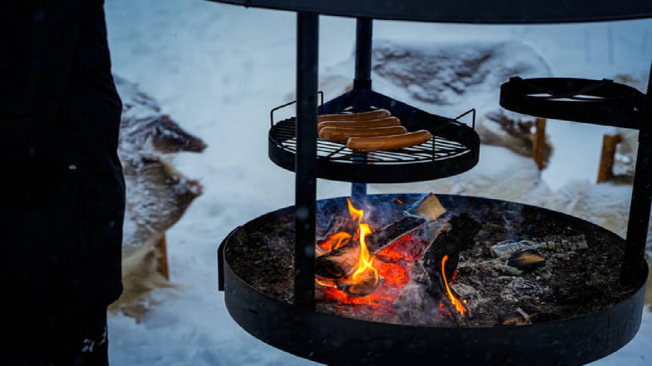 Snowmobile Safari Winter Tour & Barbeque - 1 Hour Driving - Small Group