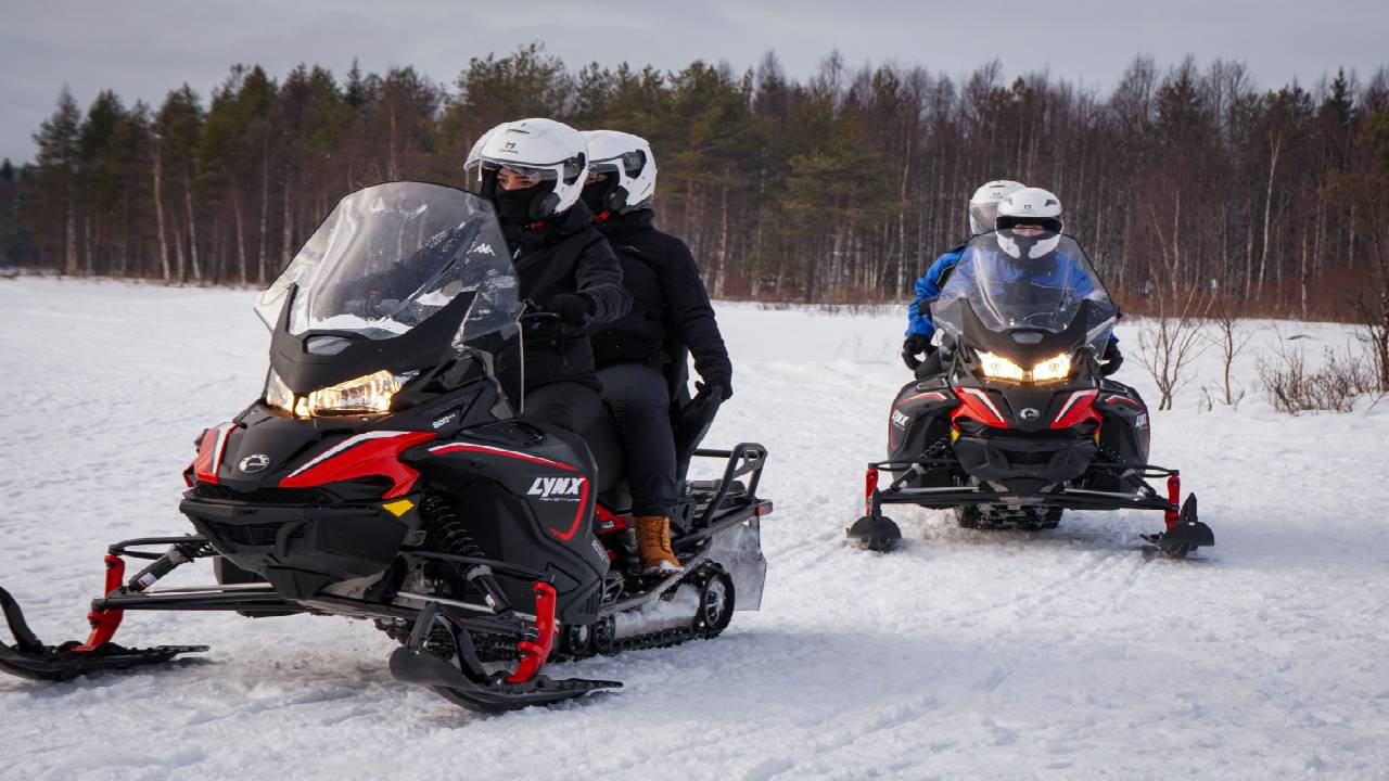 Snowmobile Safari Winter Tour & Barbeque - 1 Hour Driving - Small Group