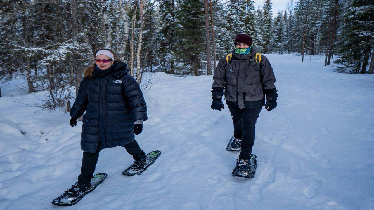Snowshoe Adventure at Vikaköngäs & Barbeque - Small Group