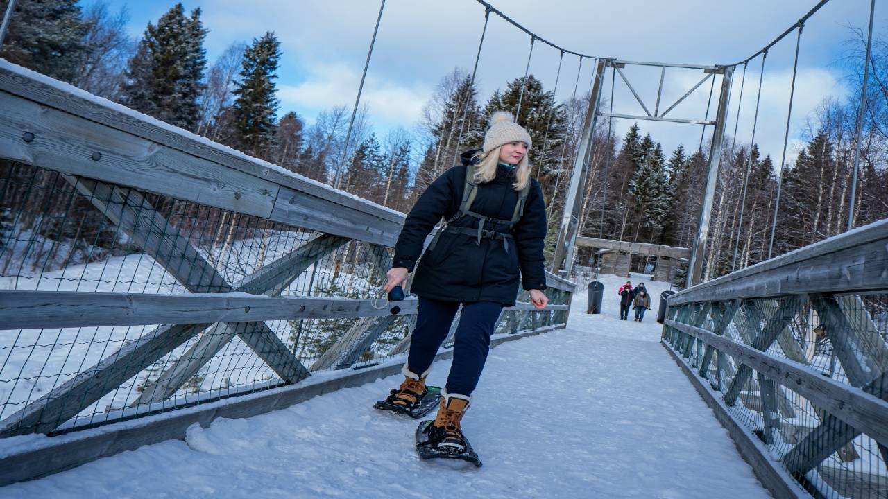 Snowshoe Adventure at Vikaköngäs & Barbeque - Small Group