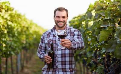 Rome: Frascati Private Day Trip - Town Tour, Lunch & Wine Tasting