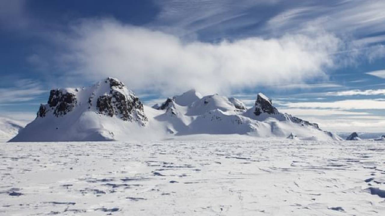 Reykjavík Whales & Snowmobile