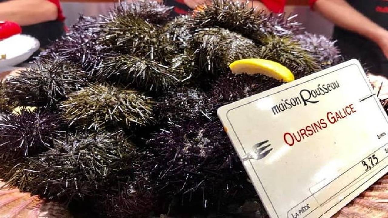 Morning Food Market Tour in Les Halles Paul Bocuse