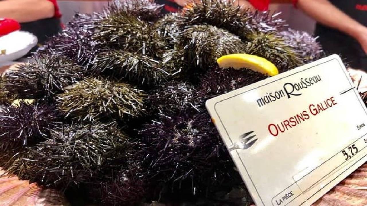 Private Morning Food Market Tour in Les Halles Paul Bocuse