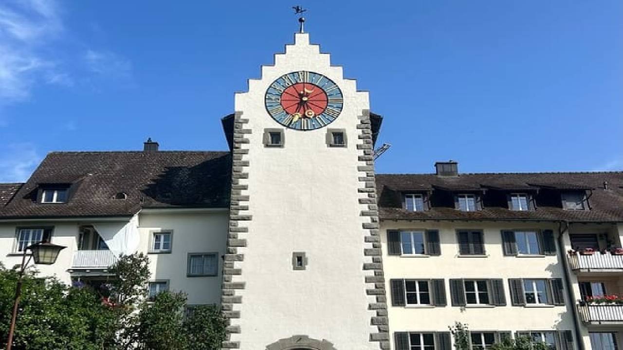 Rhine Falls and Stein am Rhein (Private Tour)