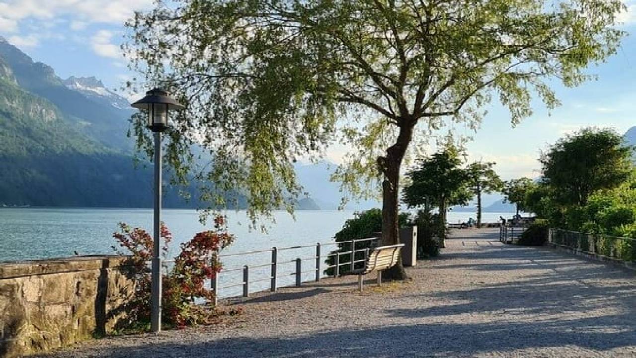 Bernese Alps, Steam Train & Lake Cruise (Private Tour)