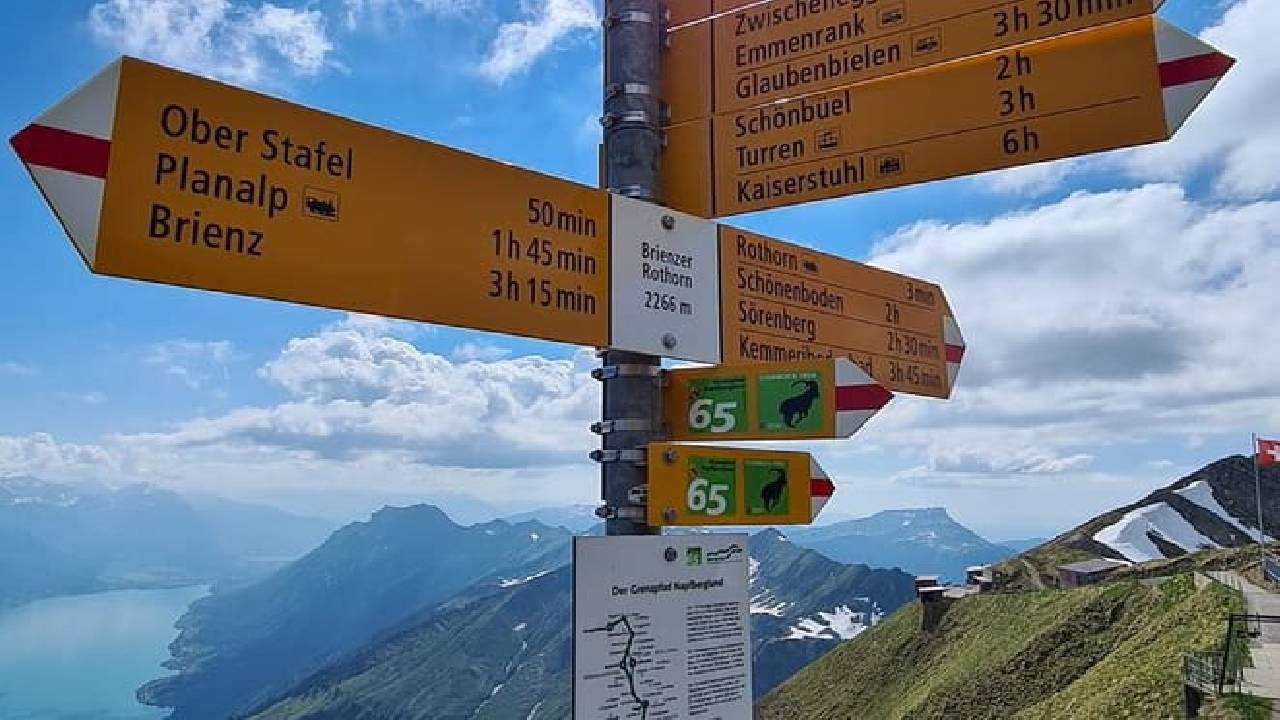 Bernese Alps, Steam Train & Lake Cruise (Private Tour)