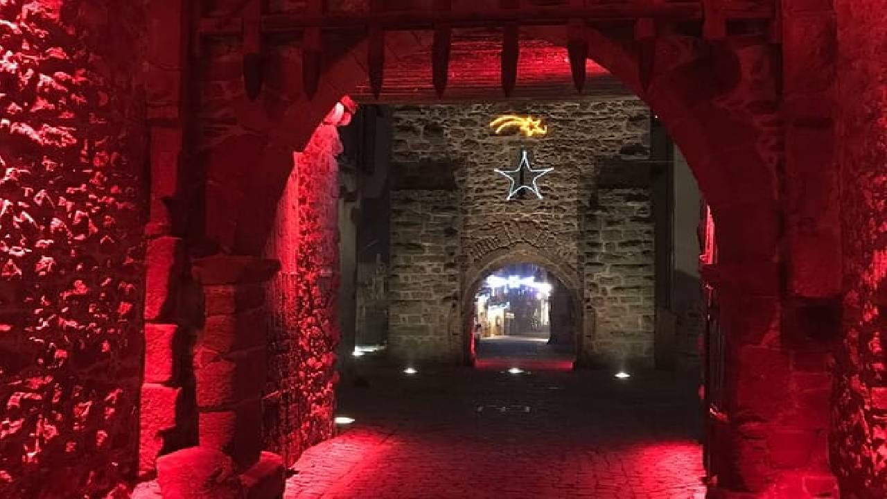 Christmas Markets in Basel and Alsace from Zurich (Private Tour)