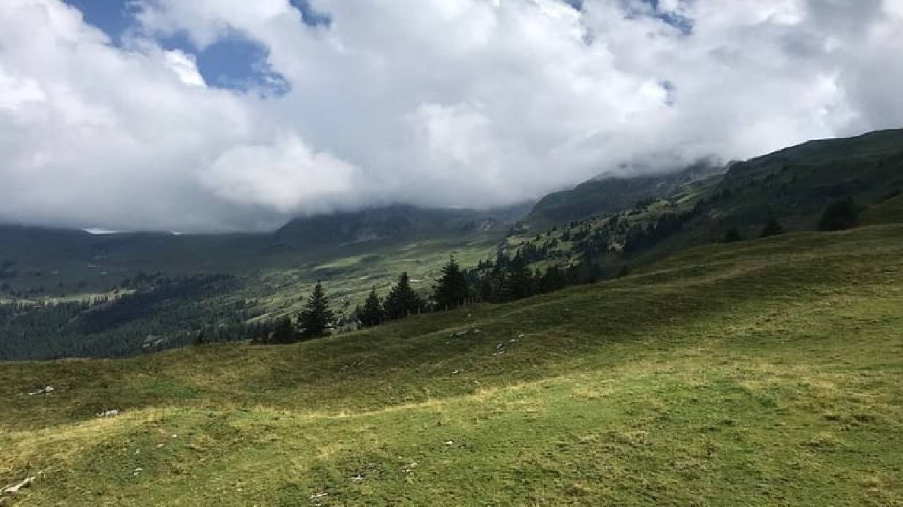 Hiking for starters (Private Tour)