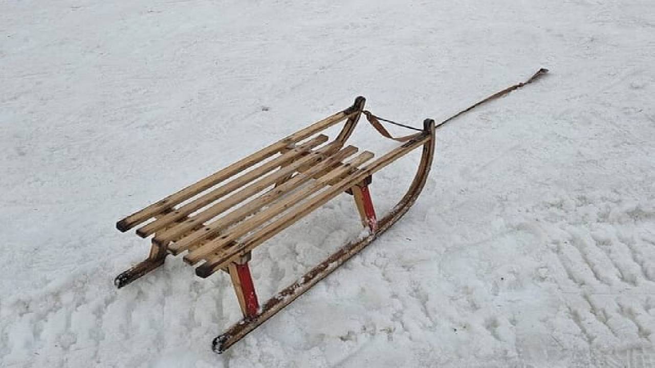 Sledding Ride and Fondue From Zurich (Private Tour)