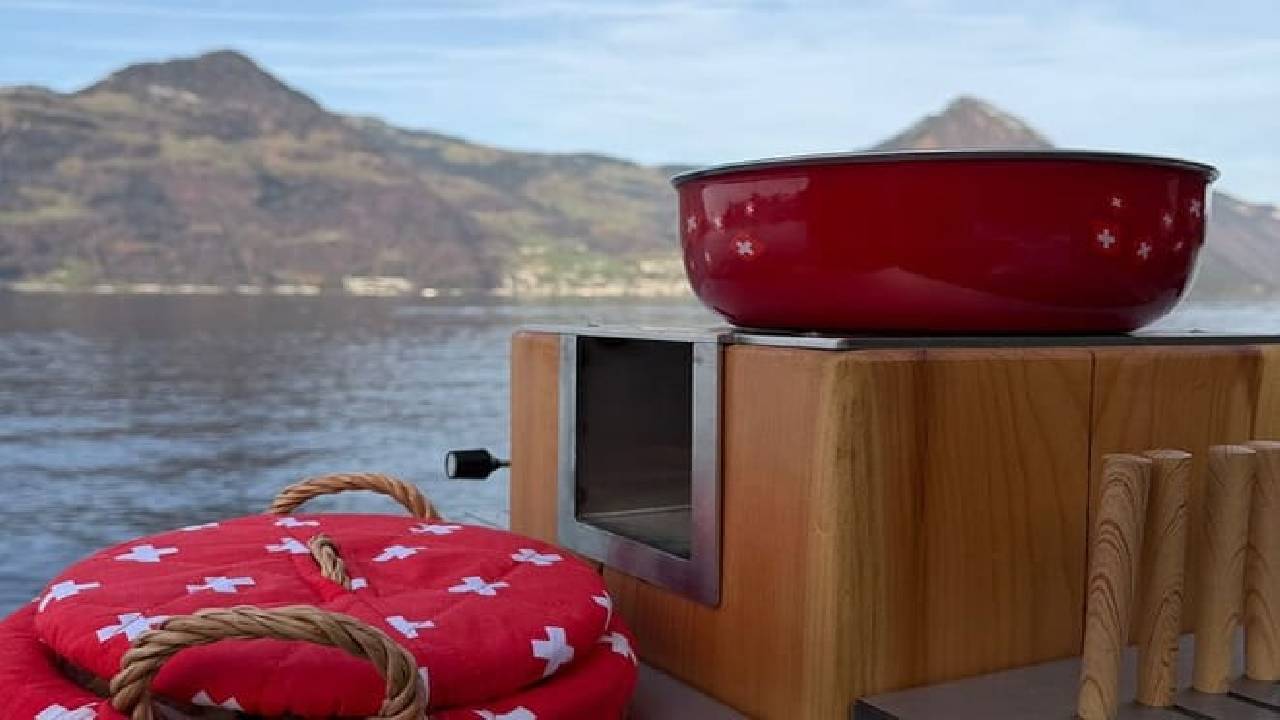 Sledding Ride and Fondue From Zurich (Private Tour)