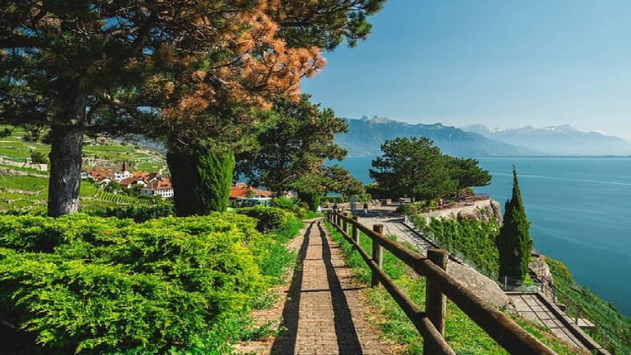 Swiss Riviera Day Trip (Private Tour)