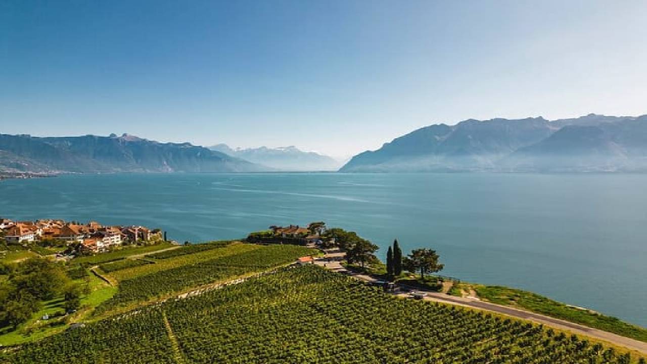 Swiss Riviera Day Trip (Private Tour)