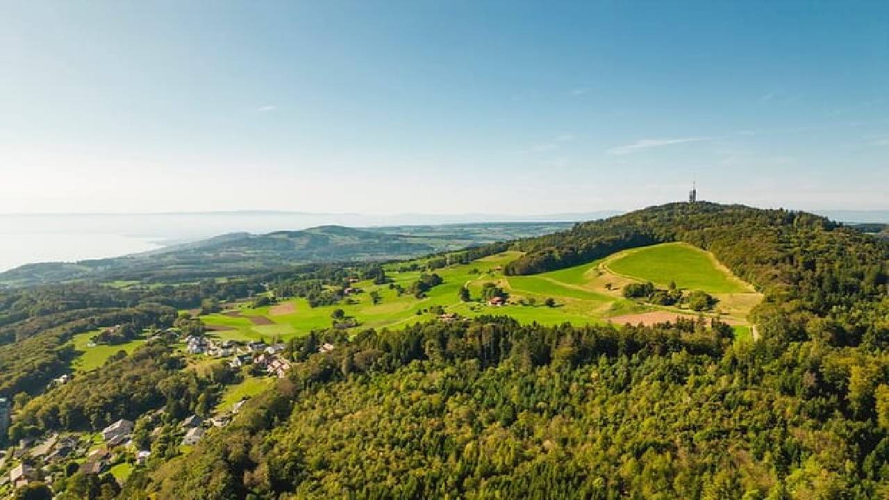 Swiss Riviera Day Trip (Private Tour)