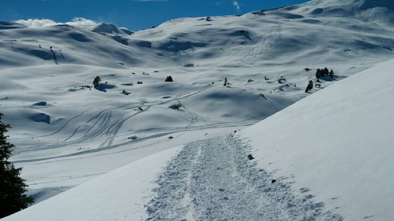 Winter Sledging Adventure (Private Tour)