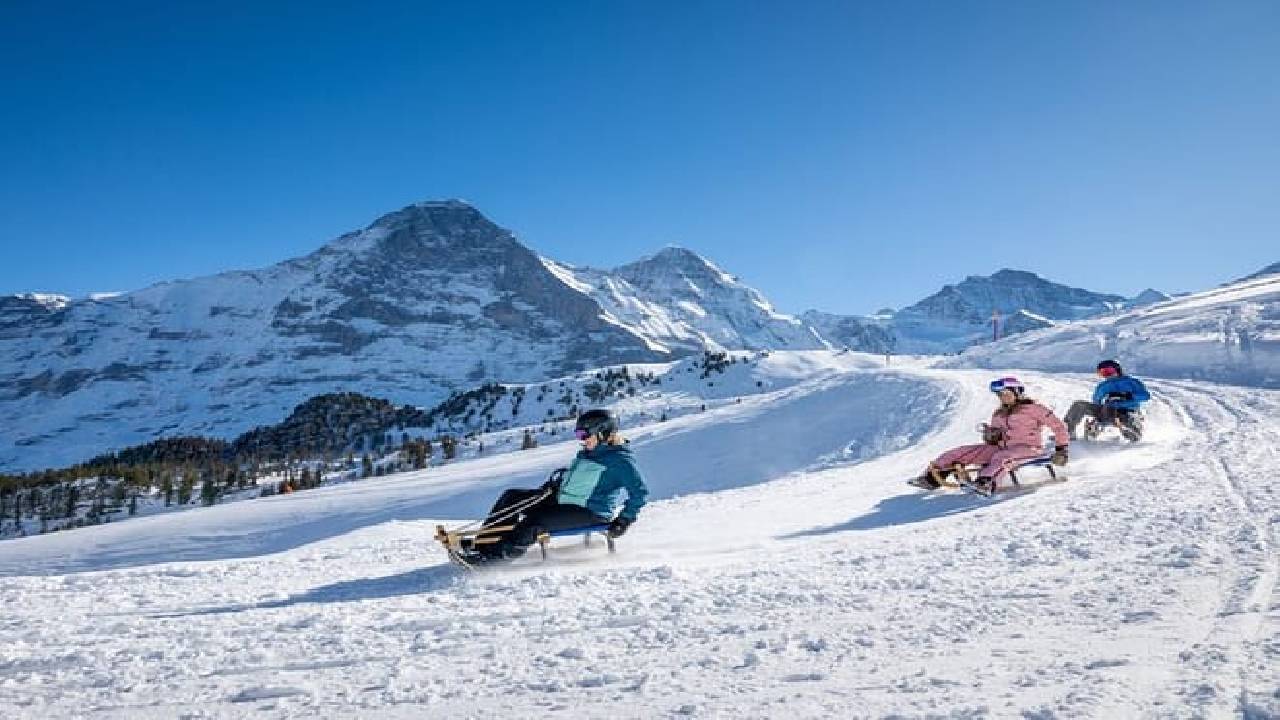 Winter Sledging Adventure (Private Tour)