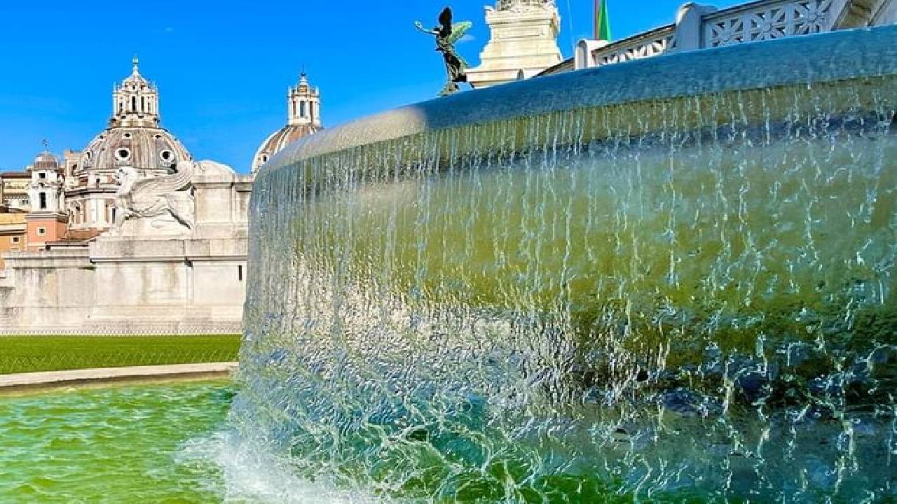 Best of Rome Colosseum, Squares and Fountains Private Walking Guided Tour 